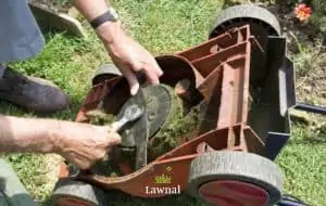 How to Sharpen Lawn Mower Blades without Removing in 6 Steps
