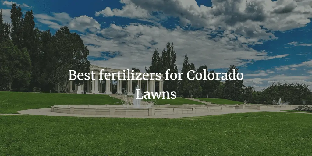 best fertilizer for colorado lawns
