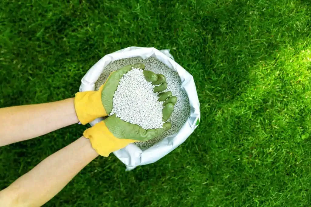 lawn granular fertilizer