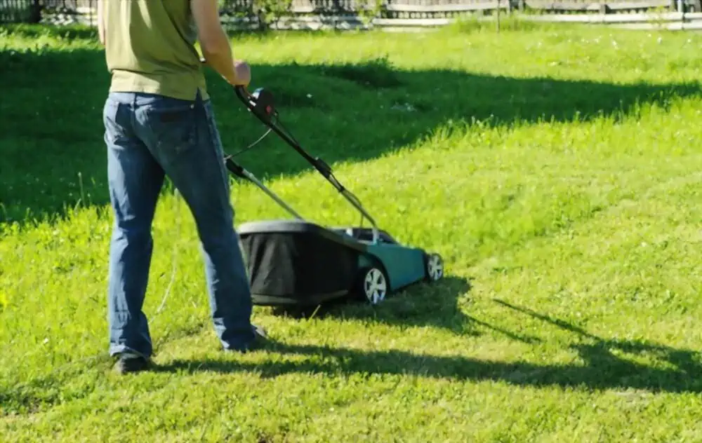 Man mowing grass