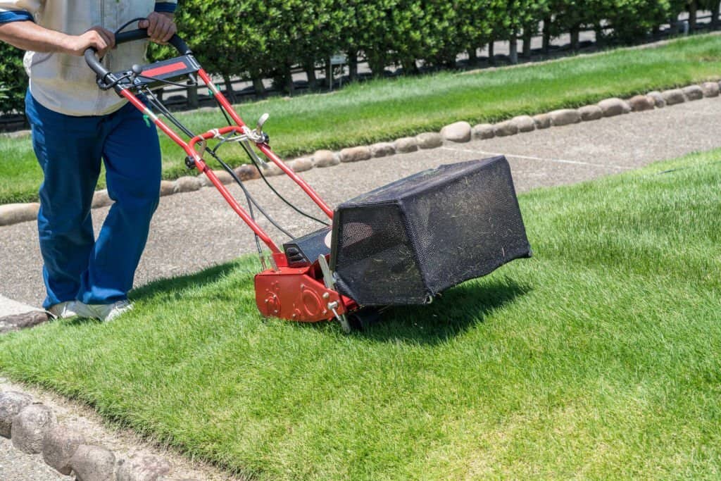 Man cutting the grass with lawn mower