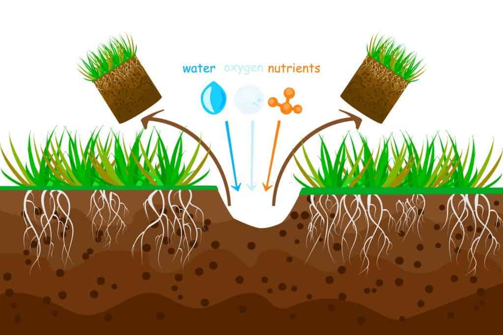 illustrated lawn aeration concept