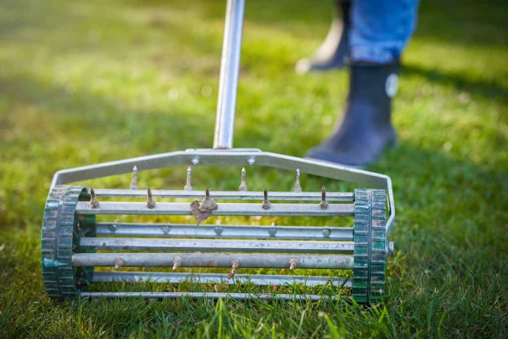 grass aerator on the green lawn