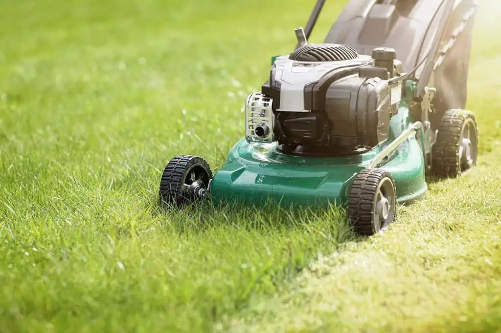 Mowing grass in the summer