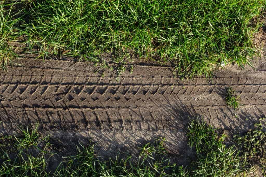 tractor tire trail on a green grass