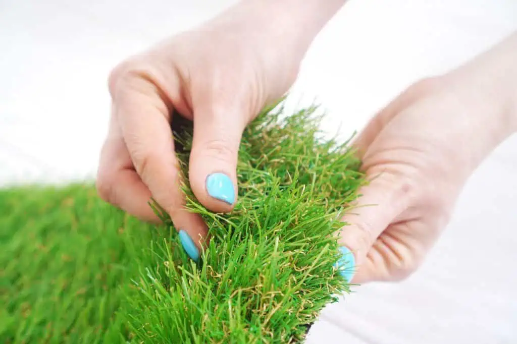 female hand touching soft sod