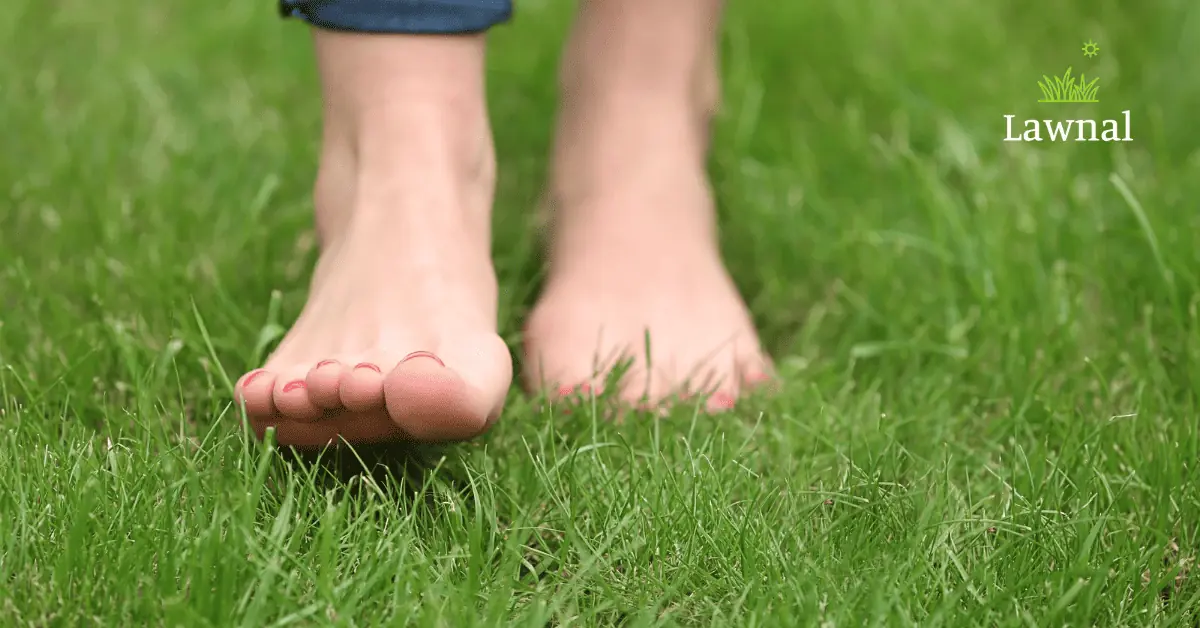 bare feet on grass