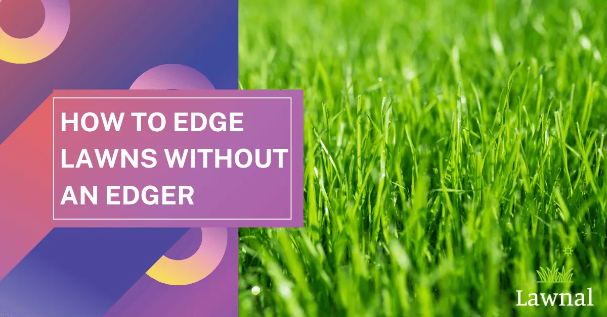 edge lawn without an edger
