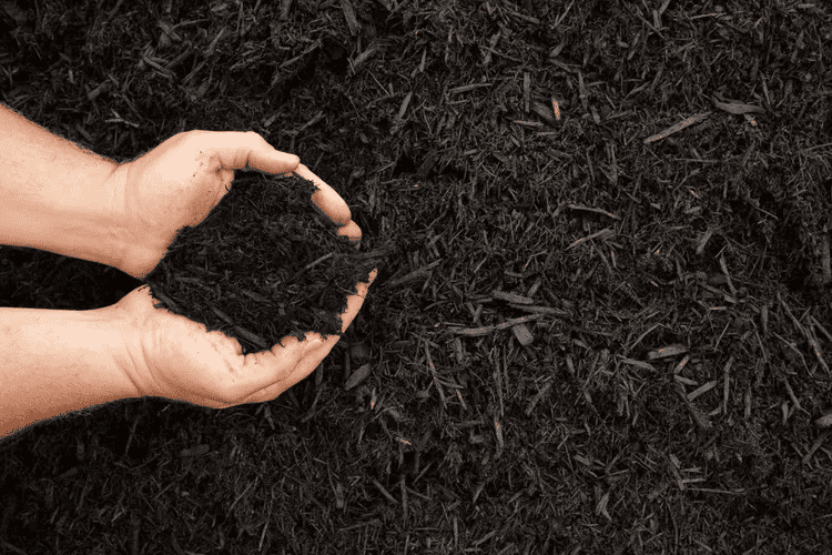 mulch in hand