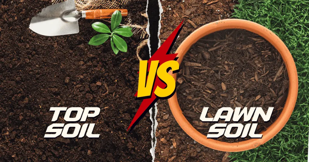 top soil vs lawn soil