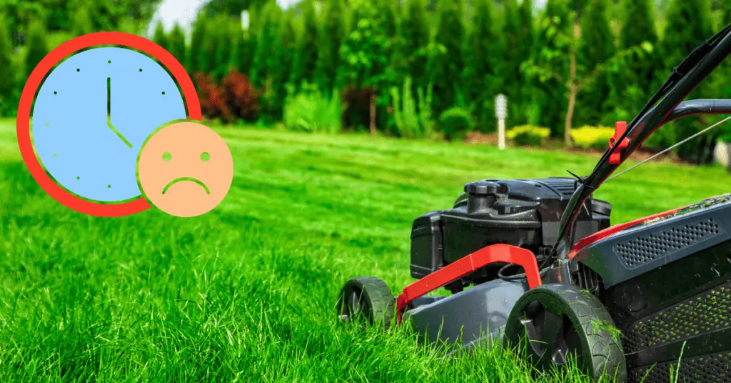worst time mow lawn