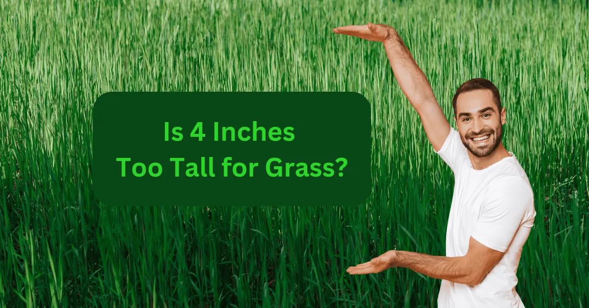 is 4 inches too tall for grass
