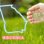 best time to plant bermuda grass in georgia