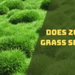 does zoysia grass spread