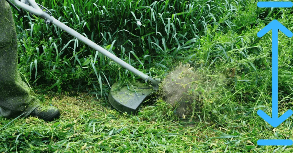cut grass to prevent weeds