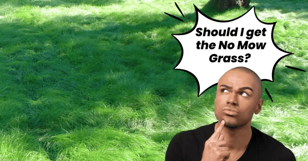 comparing now mow grass pros and cons