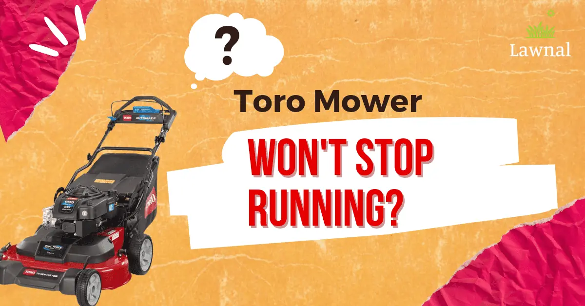 toro won't stop running
