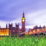 plant grass seed in london
