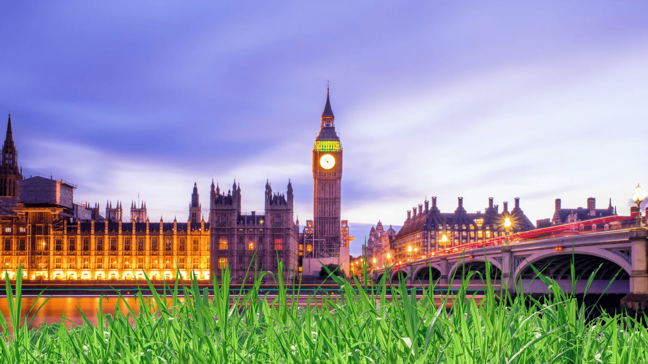 The Best Time to Plant Grass Seed in London - Lawnal