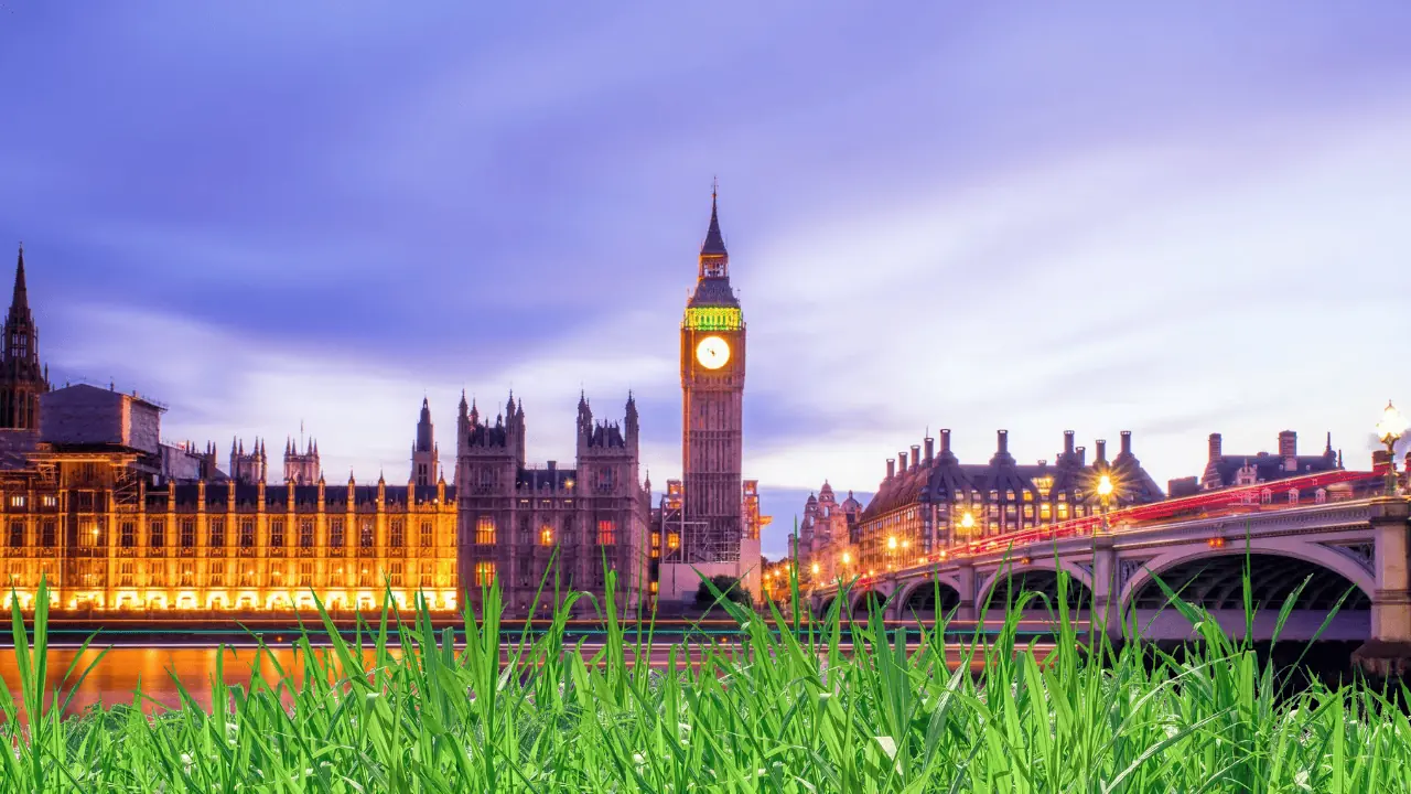 plant grass seed in london