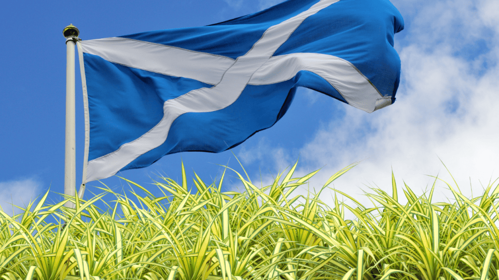 when to plant grass seed in scotland