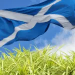when to plant grass seed in scotland